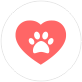 Caring for dogs